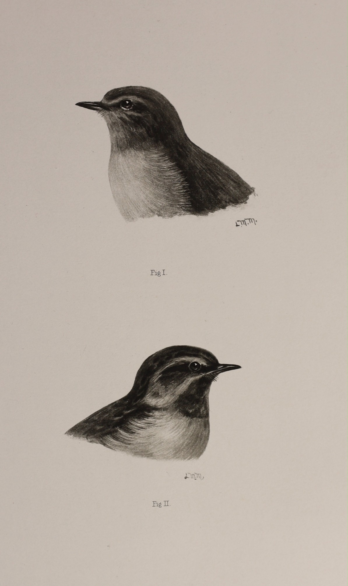 Stonham, Charles - The Birds of the British Islands, illustrated by Lilian M. Medland, 5 vols, folio, half calf with green cloth boards, with 2 folding maps, a double-page diagram and 318 full page tissue-guarded engrave